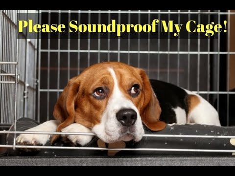 How To Soundproof A Dog Crate Or Kennel For Fireworks And Thunder