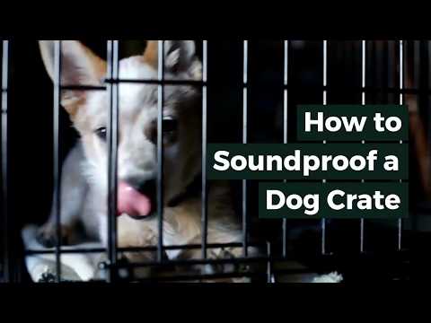 How to Soundproof a Dog Crate